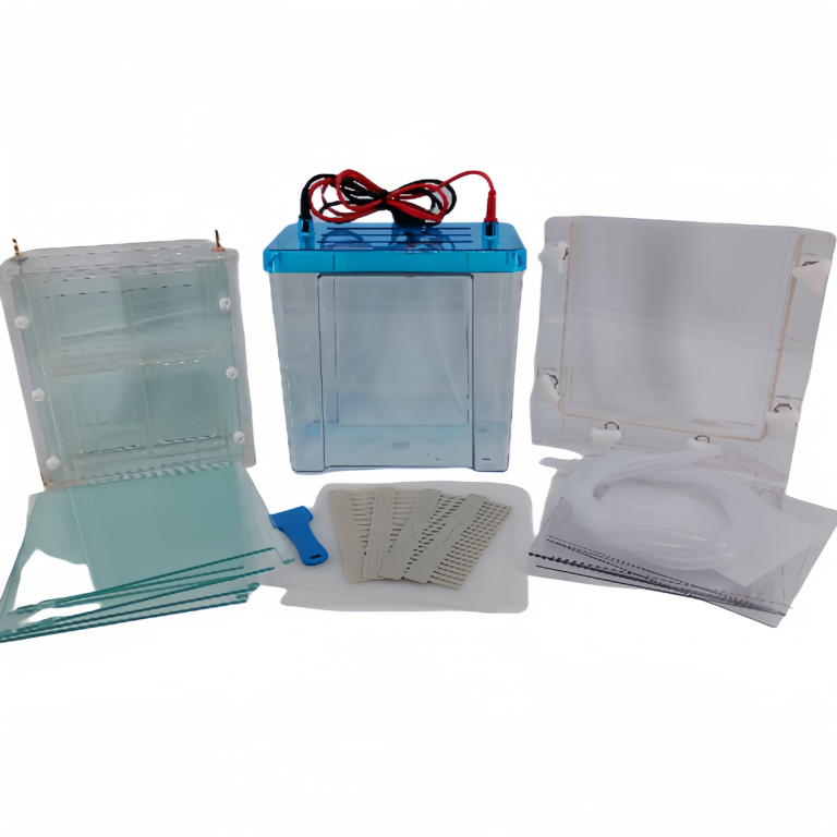 北京六一DYCZ-24FN型电泳仪