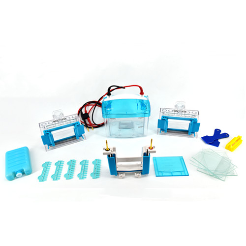 北京六一DYCZ-MINI2型双板垂直电泳仪