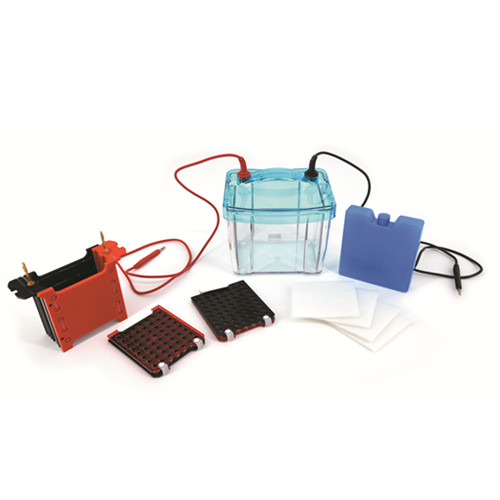 北京六一DYCZ-40G型转印电泳仪