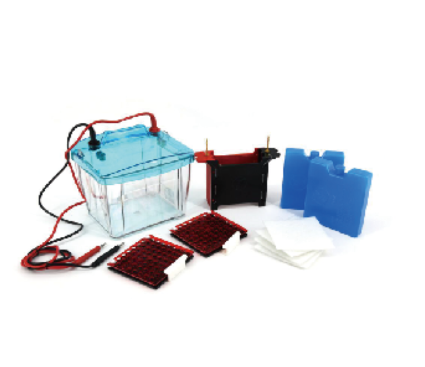 北京六一转印电泳仪（注塑）DYCZ-40F