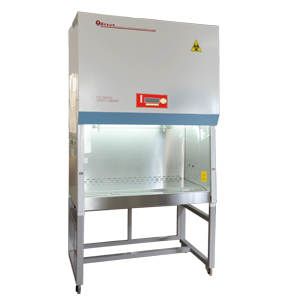 上海博迅生物安全柜（100%外排）BSC-1060B2