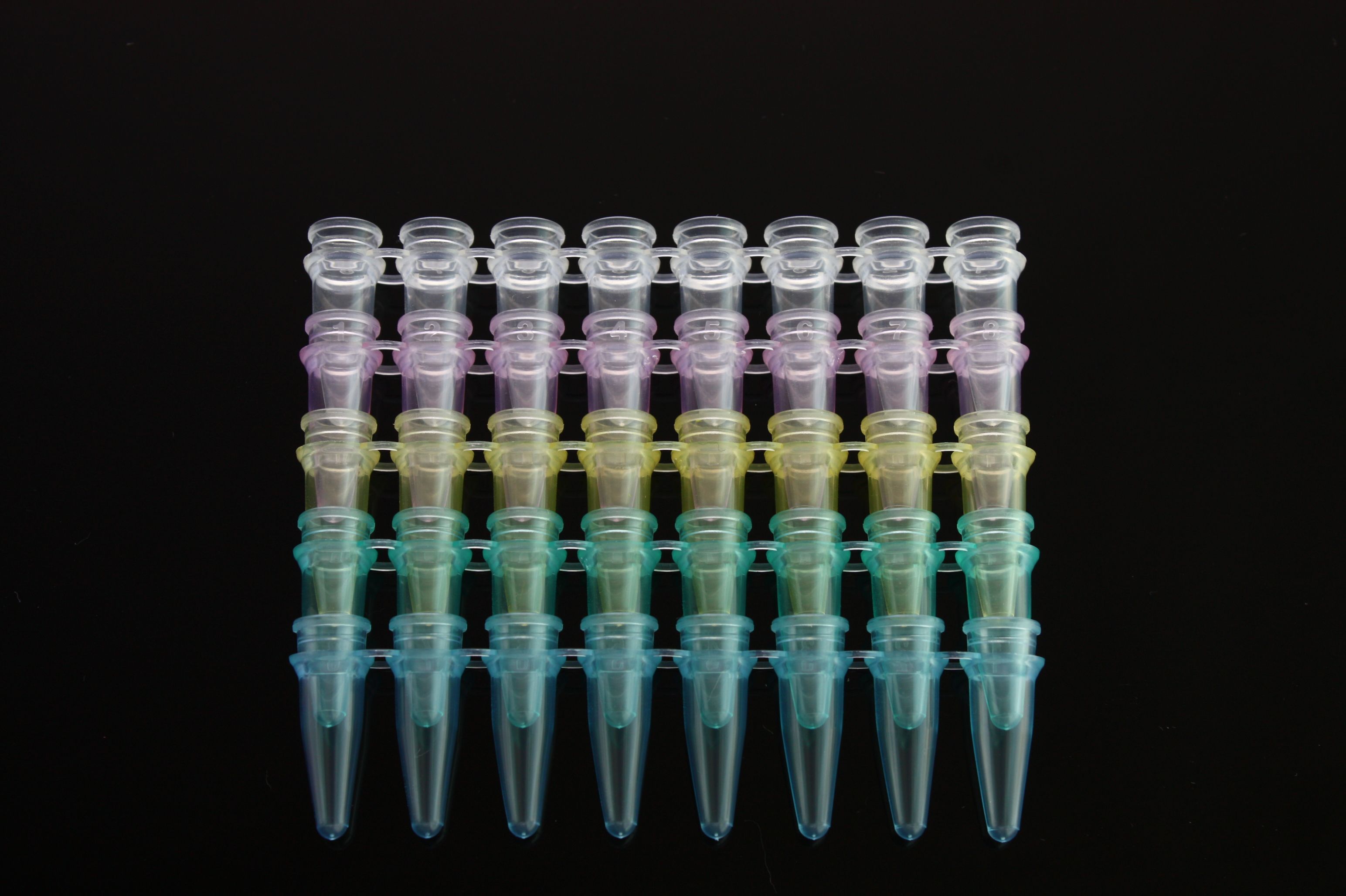 彼西络PCR反应管